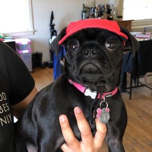 Meet your Posher, Mich